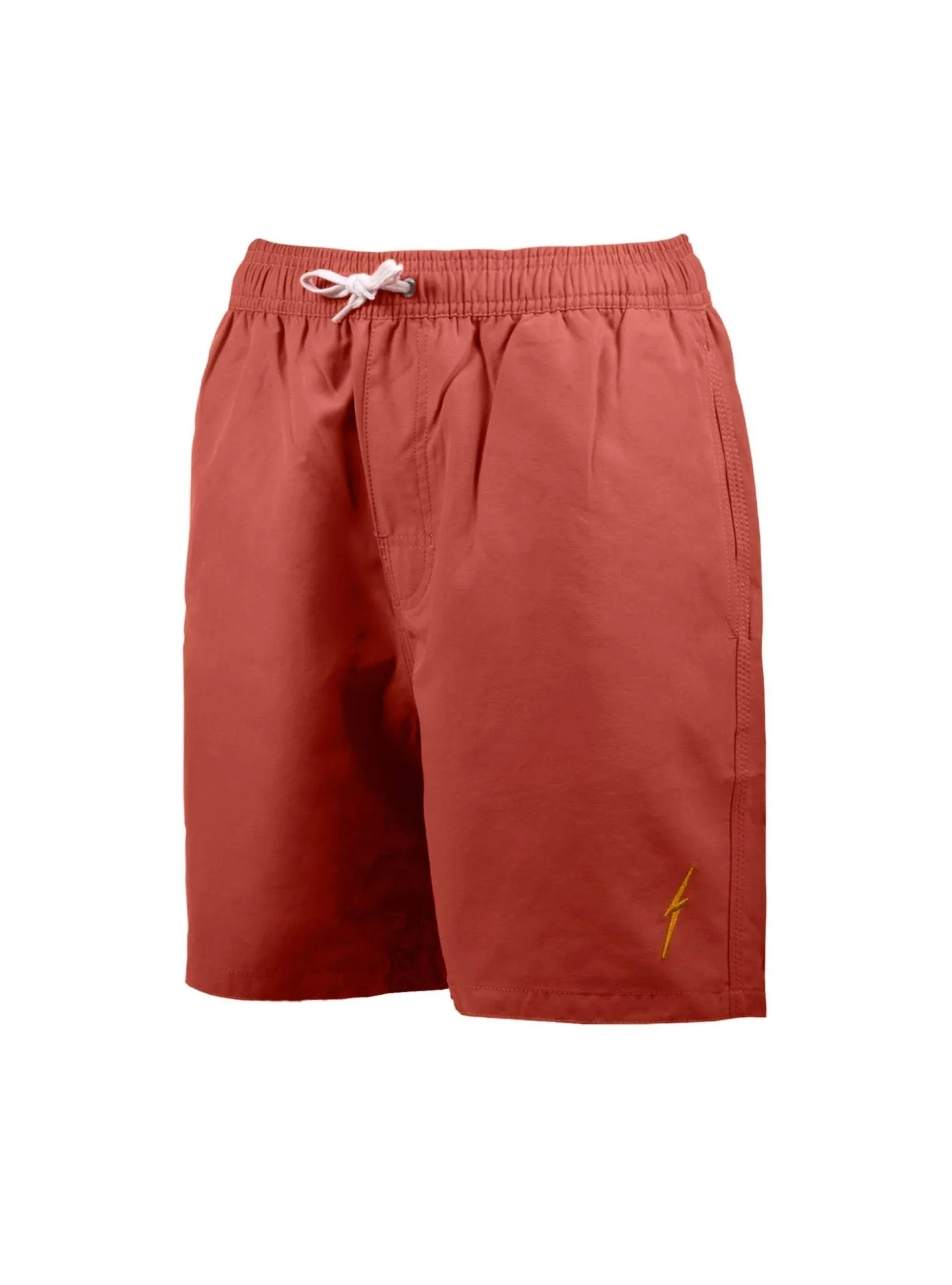 ESSENTIAL TURTLE BOARDSHORTS