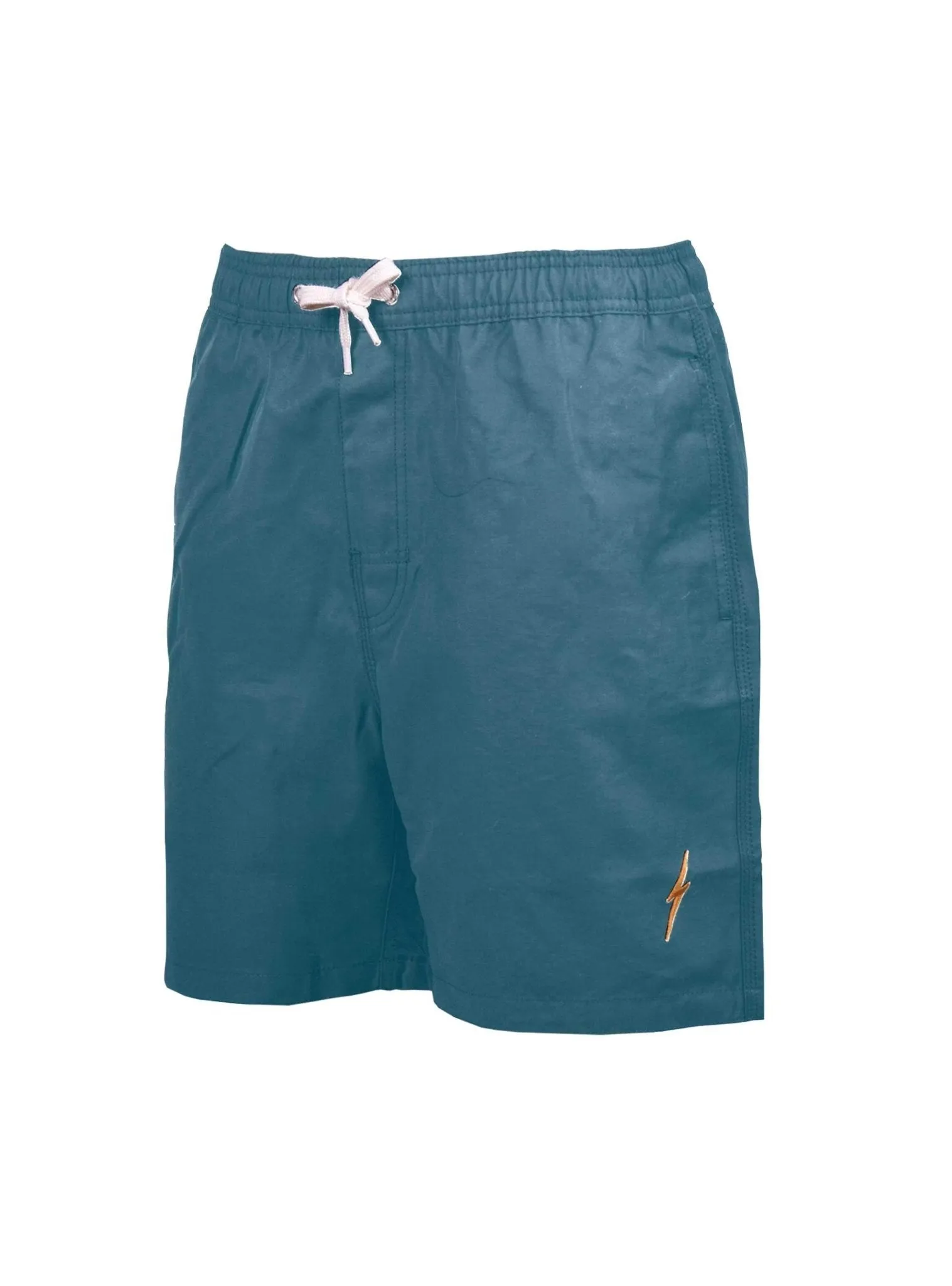 ESSENTIAL TURTLE BOARDSHORTS