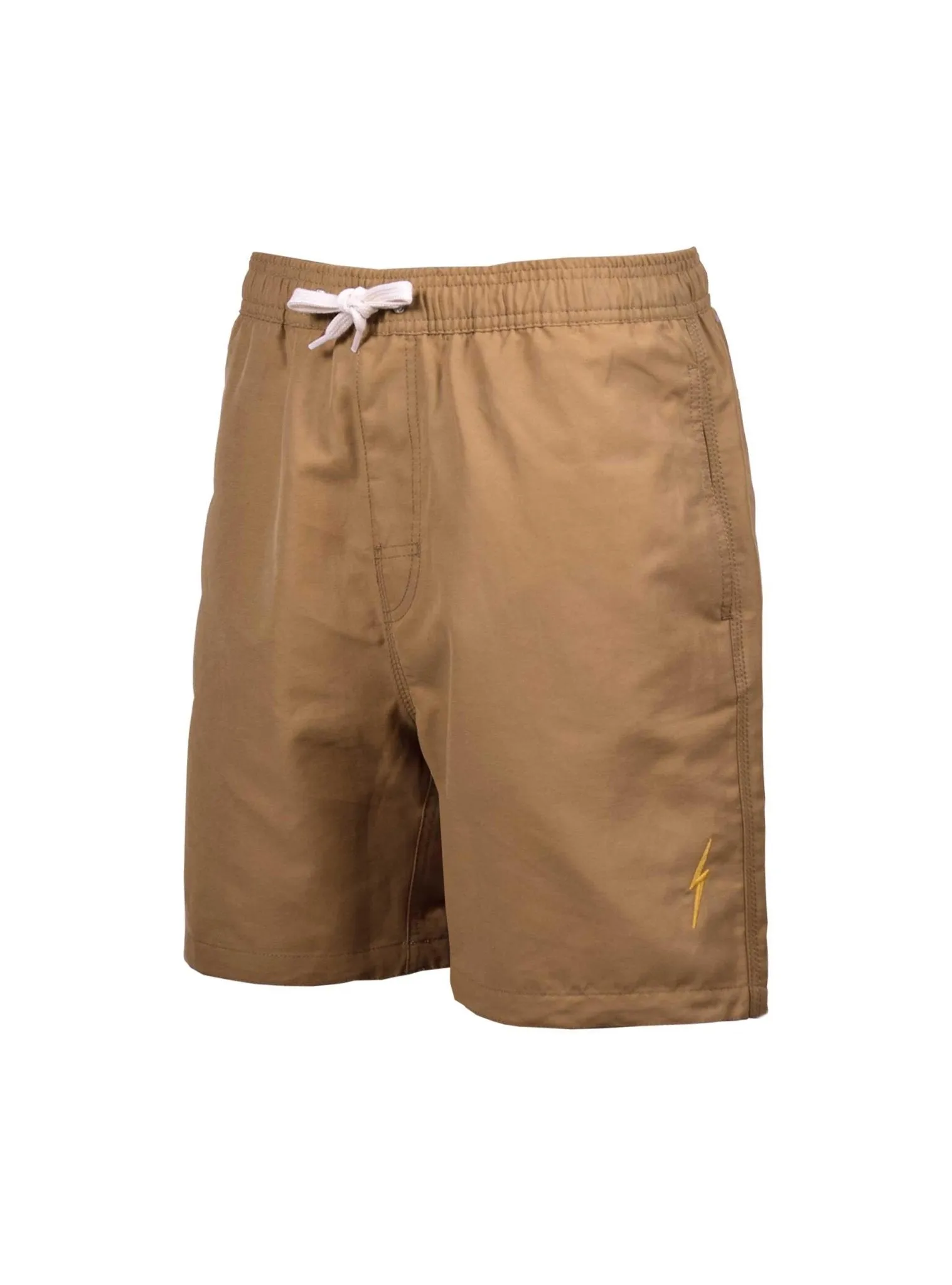 ESSENTIAL TURTLE BOARDSHORTS