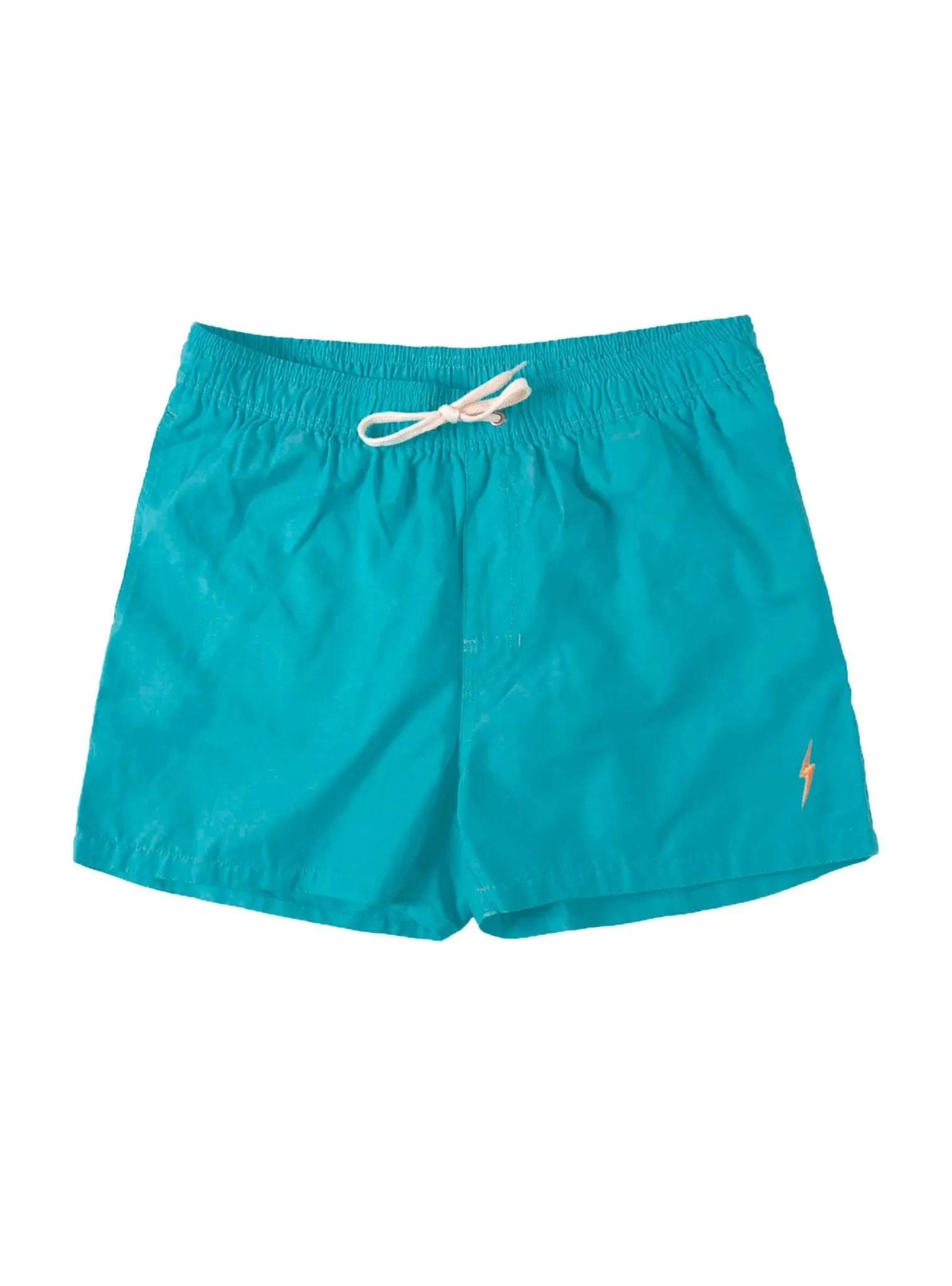 ESSENTIAL TURTLE BOARDSHORTS