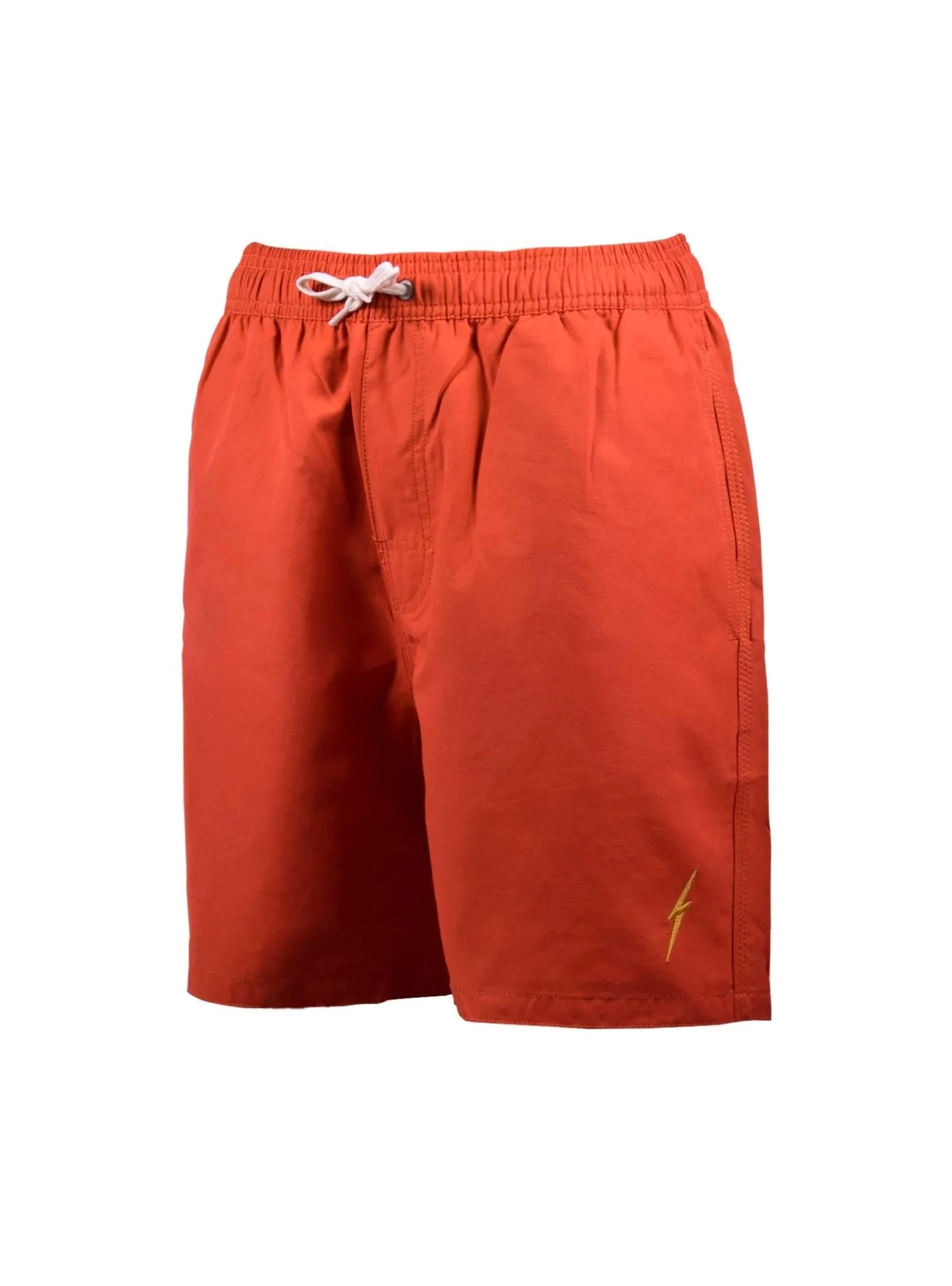 ESSENTIAL TURTLE BOARDSHORTS