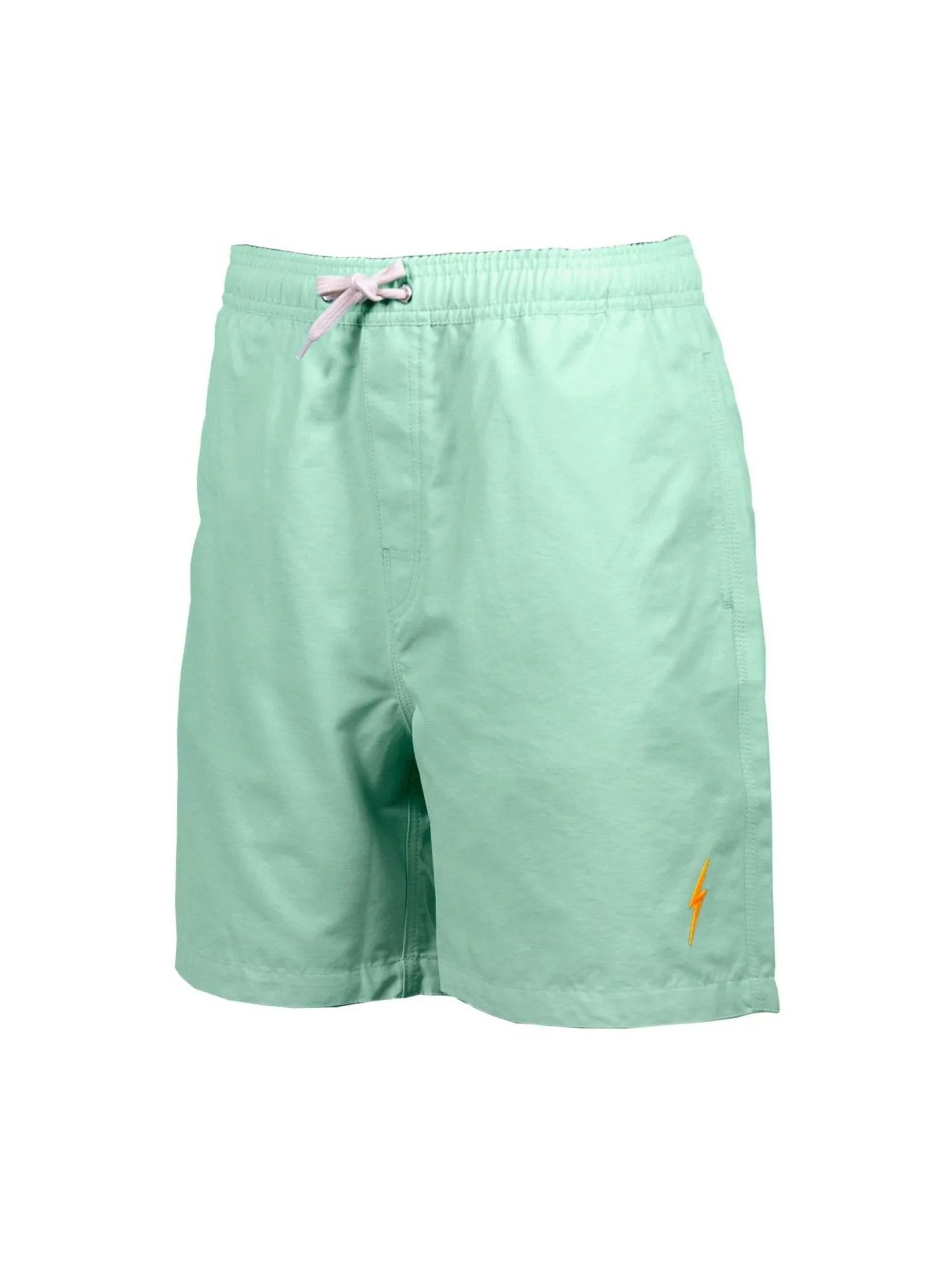 ESSENTIAL TURTLE BOARDSHORTS