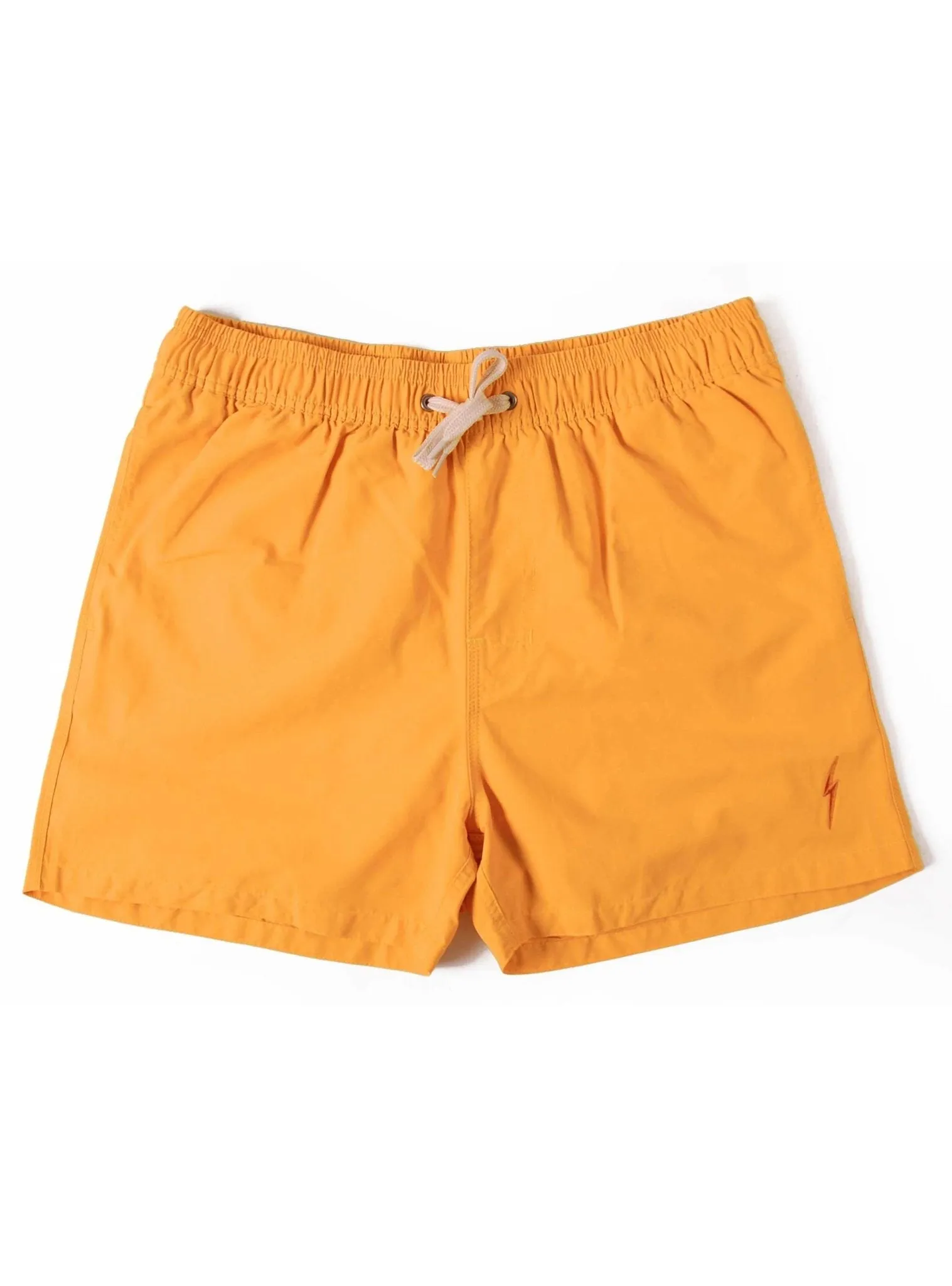 ESSENTIAL TURTLE BOARDSHORTS