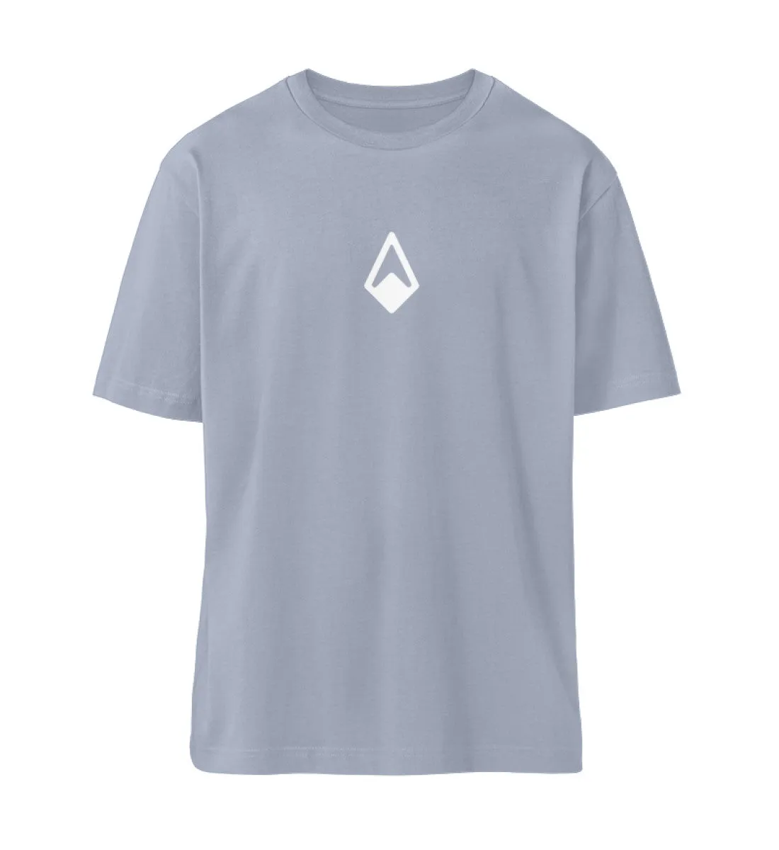 MEN'S RELAXED T-SHIRT "UPS & DOWNS"